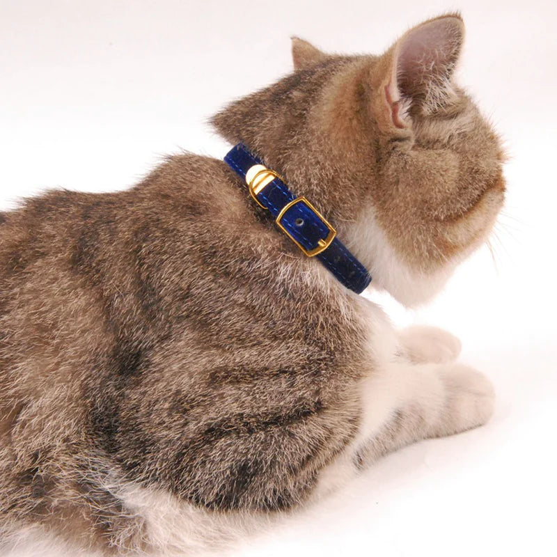 Break-Away Cat Collar