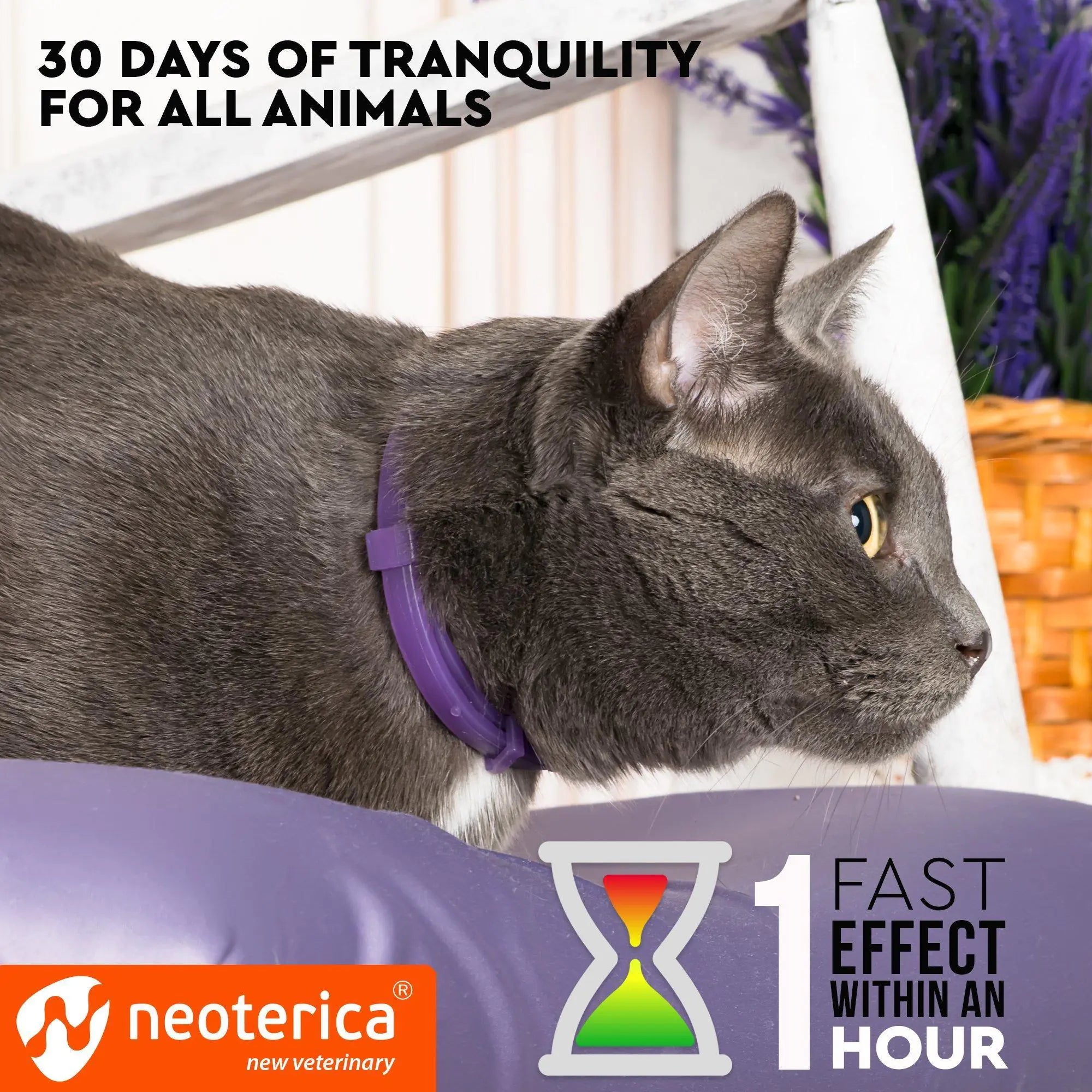 Cat Calming Collar, Anti-Anxiety Collar